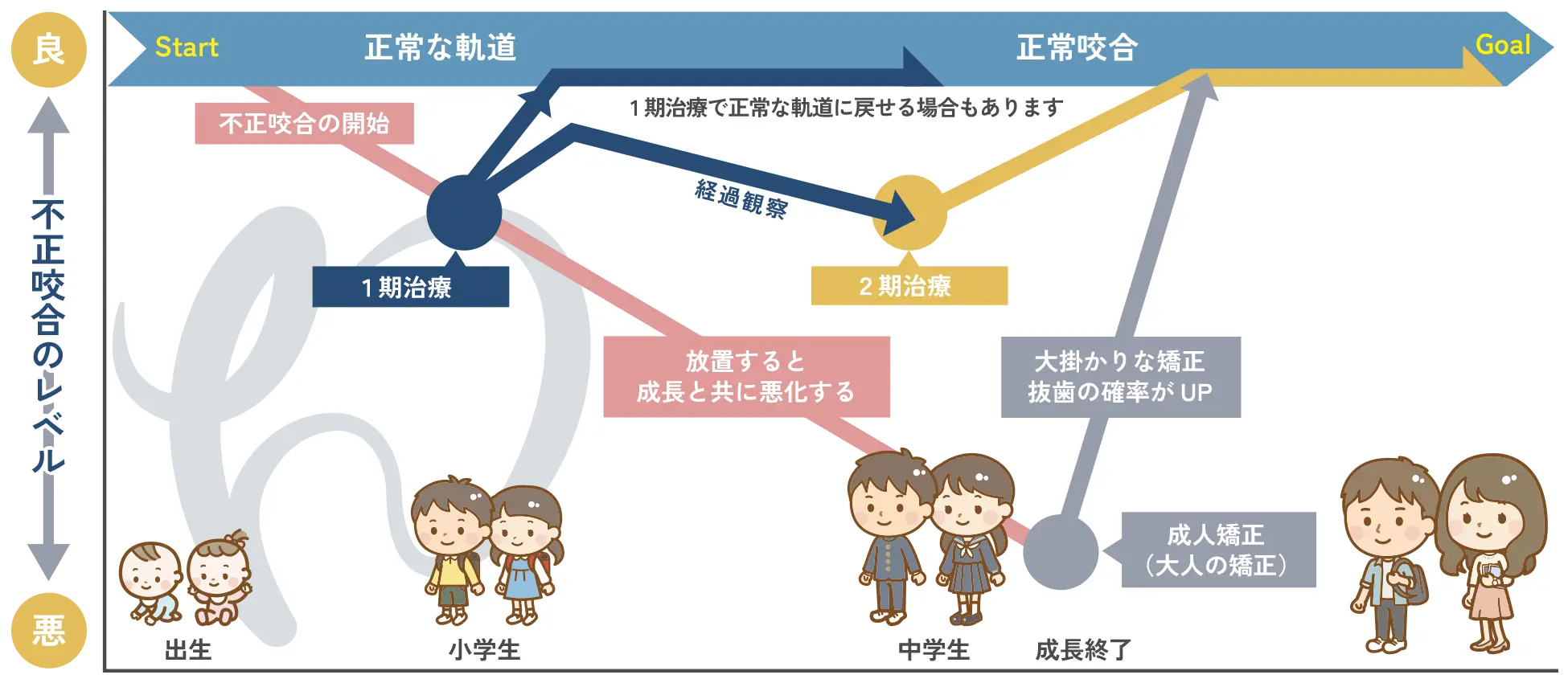 小児矯正歯科の治療の流れ