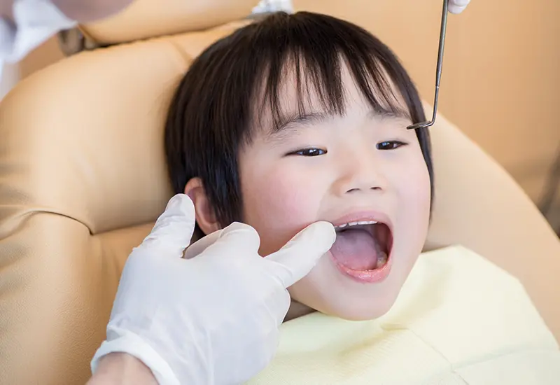 虫歯、歯周病の予防にも